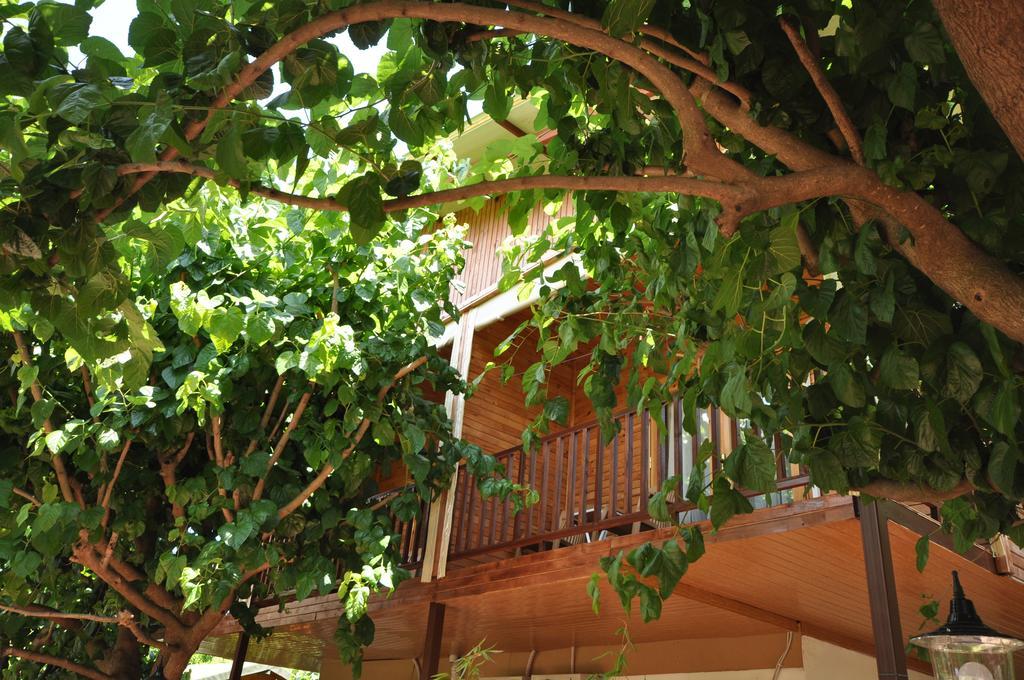 Hotel Cesur Pansiyon Çıralı Exteriér fotografie